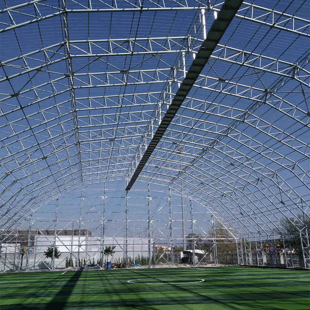 kums hali saha file gorseli