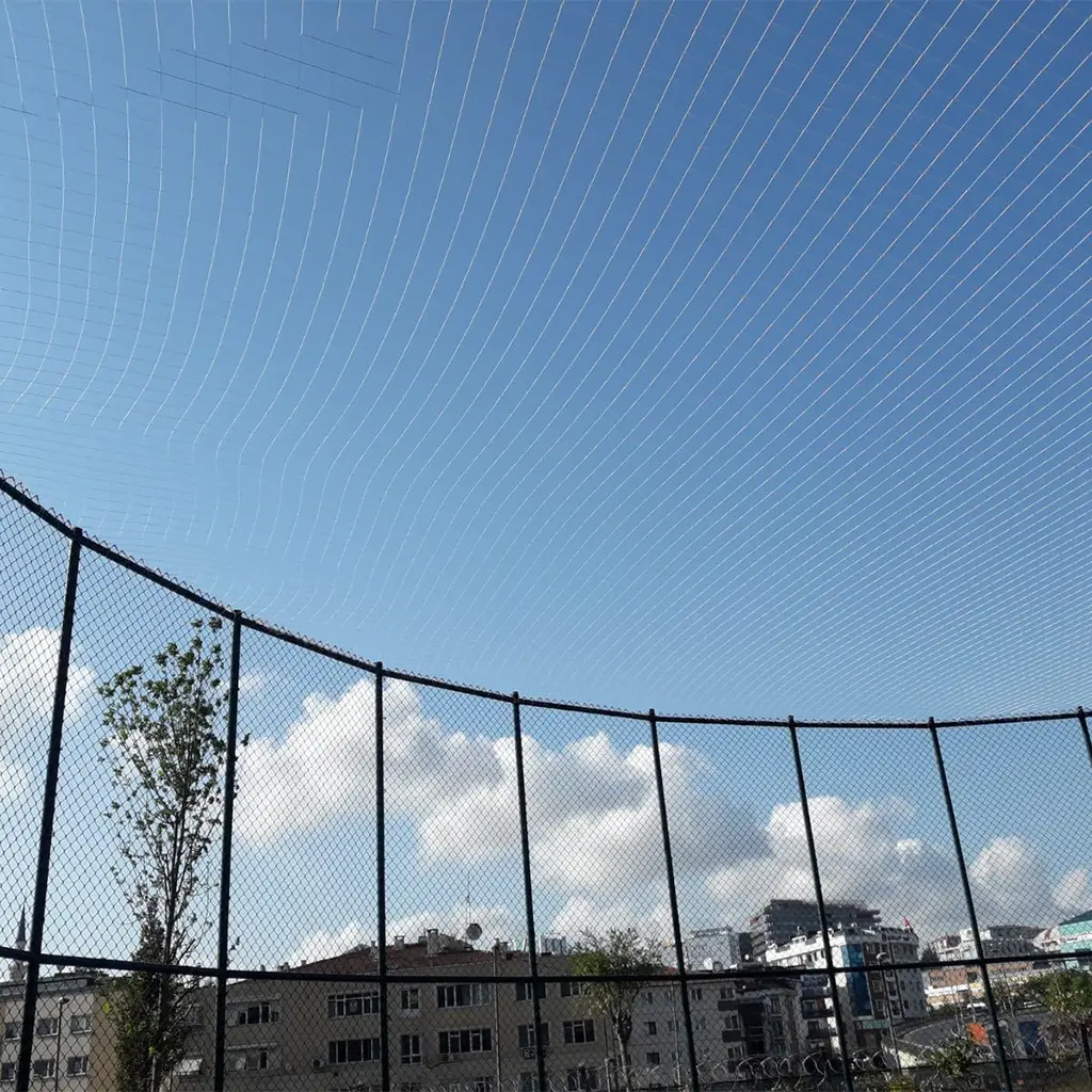 kums hali saha tavan filesi gorsel